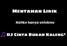 Cintaku Bukan Kaleng Kaleng Lirik